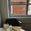 레이지에프터눈LAZYAFTERNOON 이미지