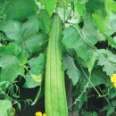 바게트세븐 이미지