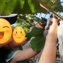 방산농장 이미지