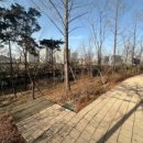 동탄 여울공원 배드민턴장 이미지