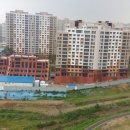 국군복지단밀리토피아