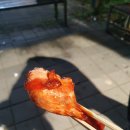 본스치킨양주 이미지