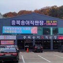 충북송어직판장 - 청주시 상당구 산성로 119 | 충북송어직판장
