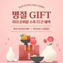 마일드닷컴