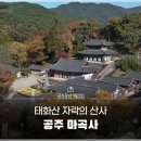 영산하나장식 | [국가유산 체크인] 천 번의 여름을 지나온 태화산 자락의 산사 공주 마곡사