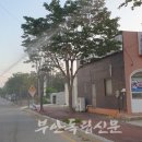 수목관리 이미지