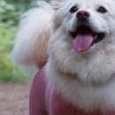 한계2리 네이버블로그