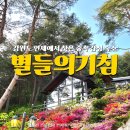 매산숲 공중화장실 | 강원도 인제 숙소 추천 | 자작나무 숲 별들의기침 룸5 내돈내산 솔직 리뷰