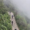 동양훼리