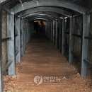 제주 셋알오름 일제동굴진지 이미지