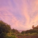 제주 그믐 이미지