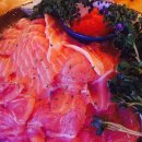 청춘연어 이미지