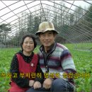 봉평농장 이미지