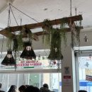 아메리칸 포 하우스(American Pho House) 이미지