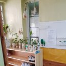 EBS하늘어린이집 이미지