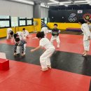 아이킹스태권도 이미지