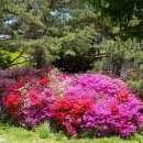 산여울캠핑장 이미지