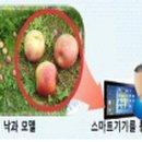 손해평가연구원 이미지