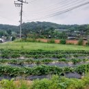 진중1리 이미지