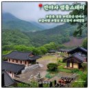 반야사불상 | 【템플스테이】충북 영동 반야사 템플스테이 체험형 내돈내산 -1편