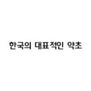 자생건강약초