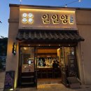 🐑 양산양고기, 첫 경험이라면 일일양 양산점에서! 언니랑 함께한 꿀맛 양갈비 후기 💕