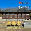 천년숲 유아숲체험원 이미지