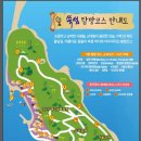2023.6.13. 쑥섬 탐방. 고흥 팔영산 편백나무숲길(치유의 숲) 이미지