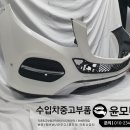 A166 이미지
