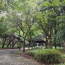 모롱지작은도서관 이미지