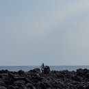 표선동서로 이미지