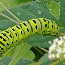 자연-어울림 이미지