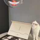 도선한우 이미지