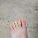 네일처럼 - 부천시 오정구 | 뷰티_ 부천 도당동 네일처럼 여름패디 후기 💅 형광 오렌지로 기분전환 성공!