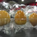 헬스네비 휘트니스 이미지