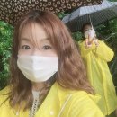 천제교 | 제주 천제연 폭포, 원앙폭포 후기