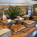 페스츄리(PET'S TREE) | 5박6일 발리여행_하얏트 리젠시 발리 조식 / 사누르 스노쿨링