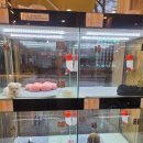 상도그 검암점 이미지