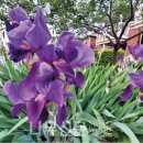 나무와창 이미지