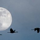 사시사철-풍요 이미지