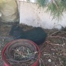 이서우체국 이미지