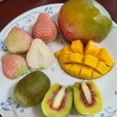 남촌농수산물시장(과일1동_6) | 시흥 신천역맛집 서천한우곱창 &amp; 남촌농산물도매시장 이색과일 설화딸기