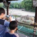 안해님농장 이미지