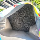 삼손농장 이미지