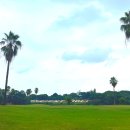 동방성 | 중국 샤먼 “ 동방cc = 오리엔트CC(Orient cc) ” 라운딩 코스와 실제 후기