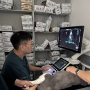 언양 동물병원 이미지