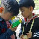 프란치스카유치원 이미지