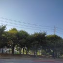 닭장수후라이드 (평택칠원점) 이미지