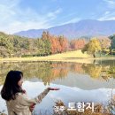마동-44 | 경주 단풍 명소 토함지 11월 12월 메타세콰이어 이국적 풍경 &amp; 반영 사진 후기