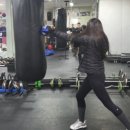 극동 프로복싱 체육관 이미지